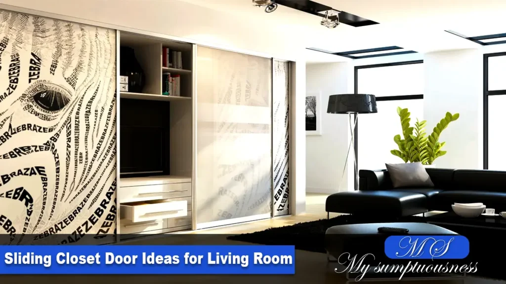 Sliding Closet Door Ideas for Living Room
