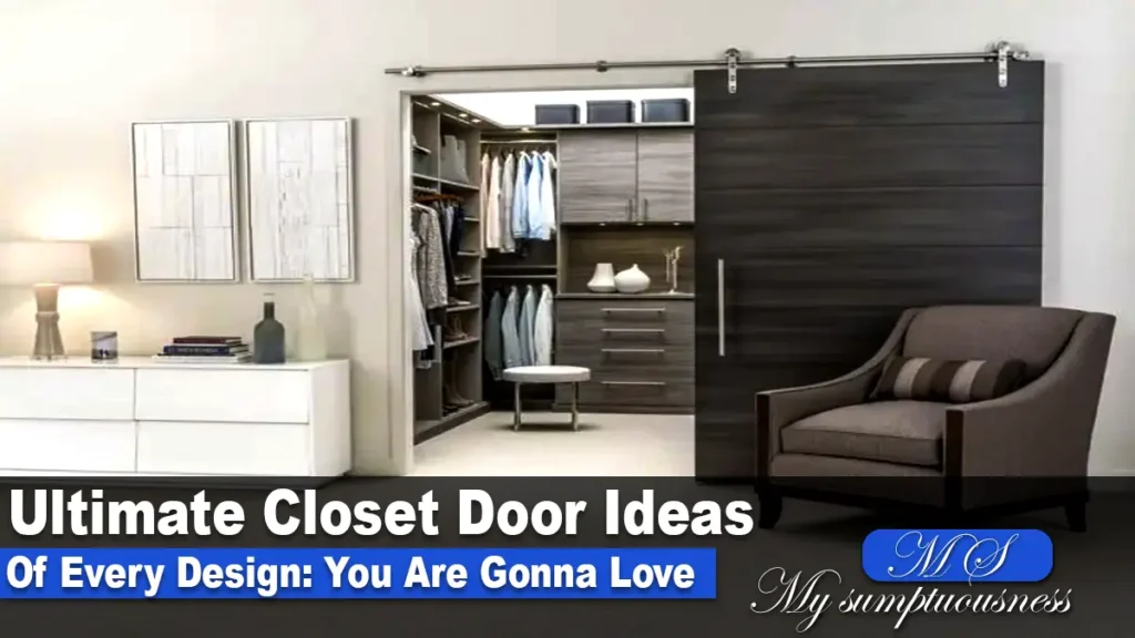 Closet Door Ideas