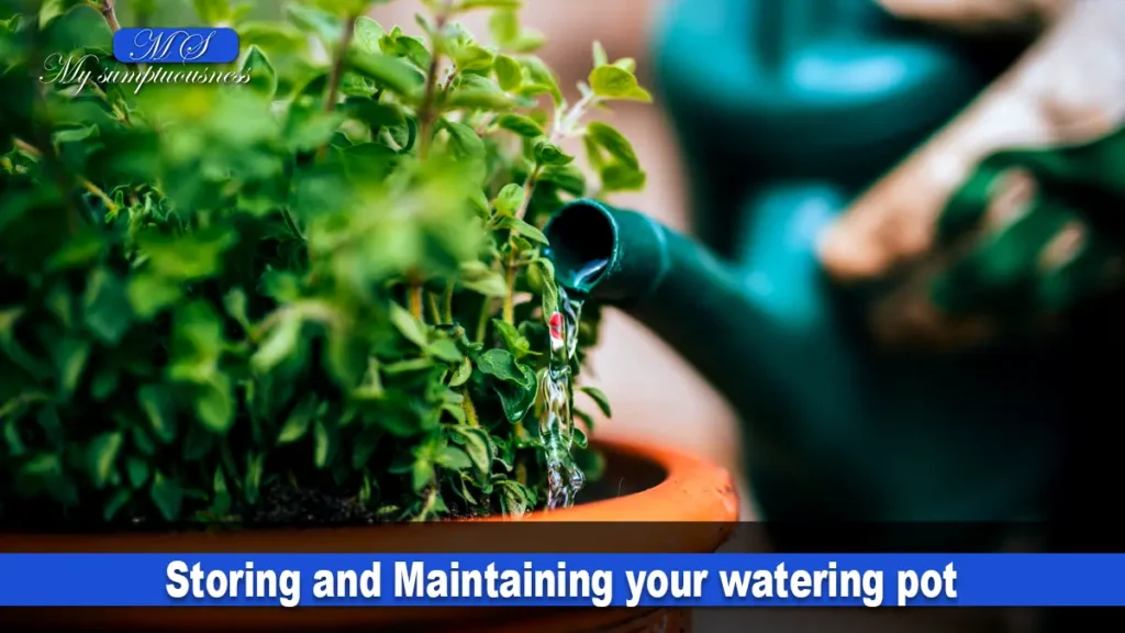 Storing and Maintaining your watering pot