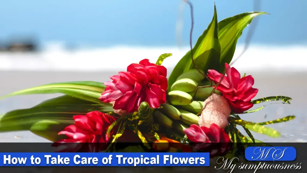 ake Care of Tropical Flowers