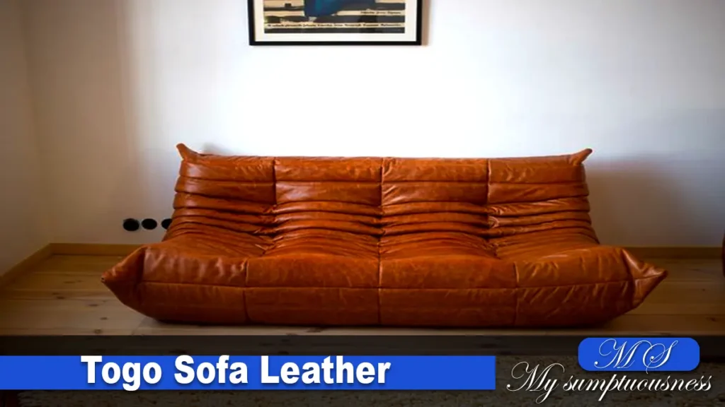 Togo Sofa Leather