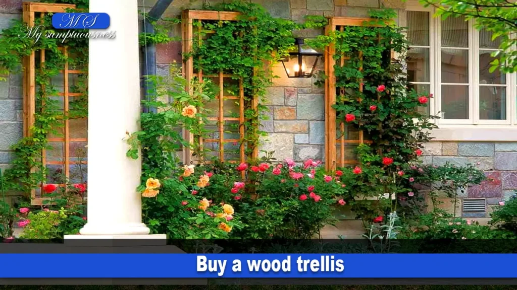 Buy a wood trellis