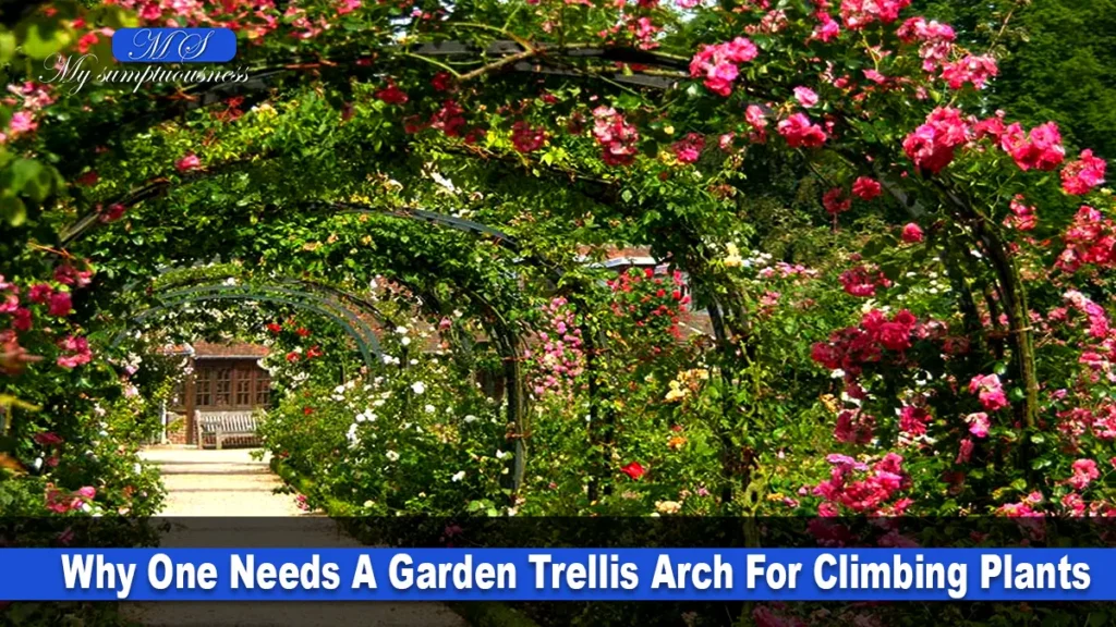 garden arch trellis
