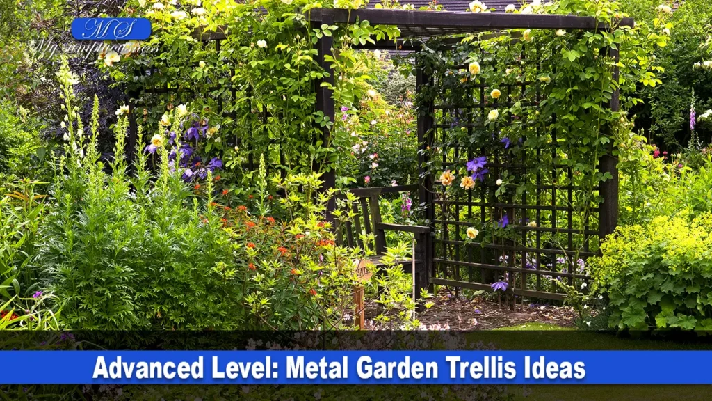 Metal Garden Trellis Ideas