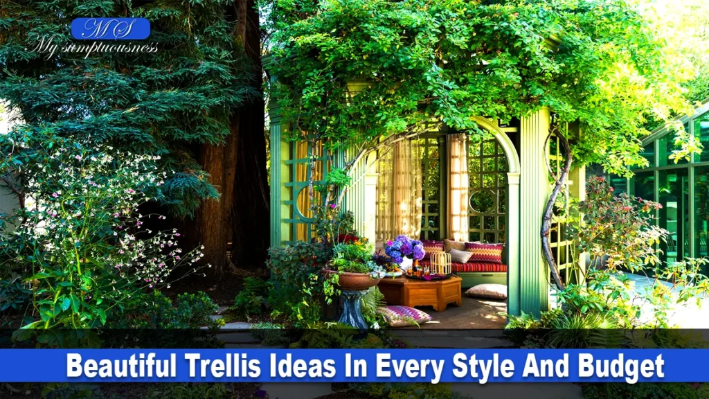 Trellis Ideas