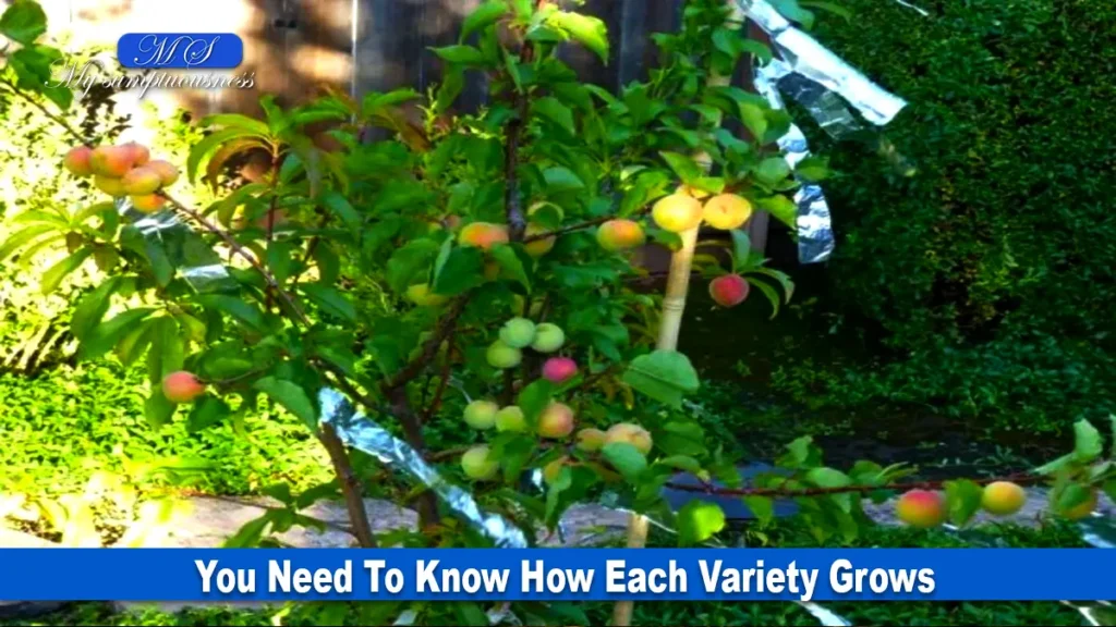 You Need To Know How Each Variety Grows