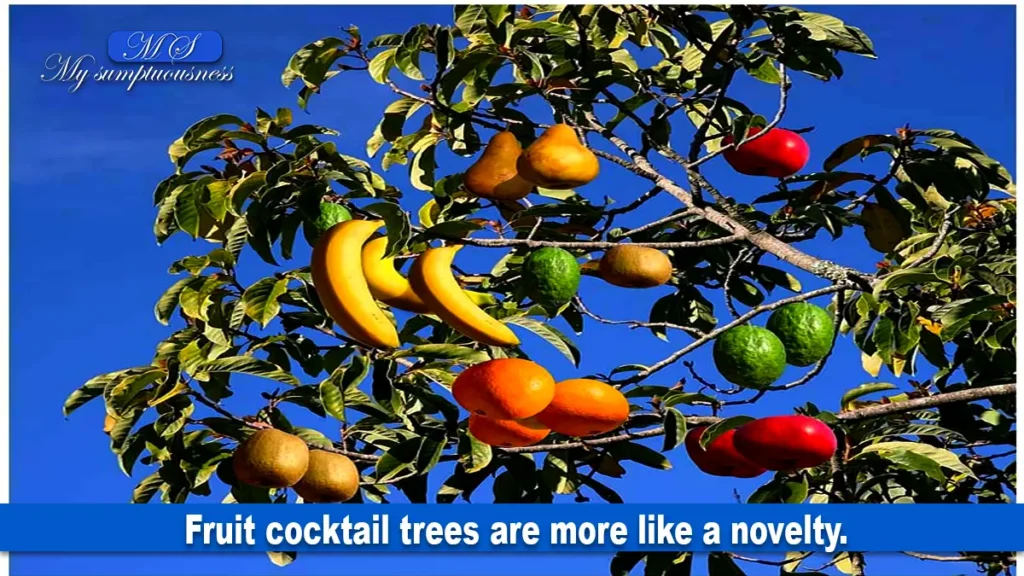 Fruit cocktail trees are more like a novelty